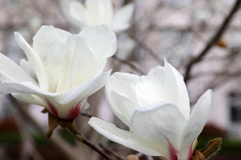 9N1A6220.JPG 9N1A6220.JPG