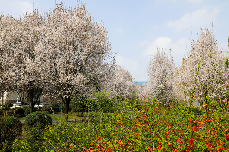 9N1A6241.JPG 9N1A6241.JPG