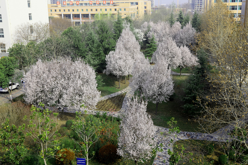 9N1A6300.JPG 9N1A6300.JPG