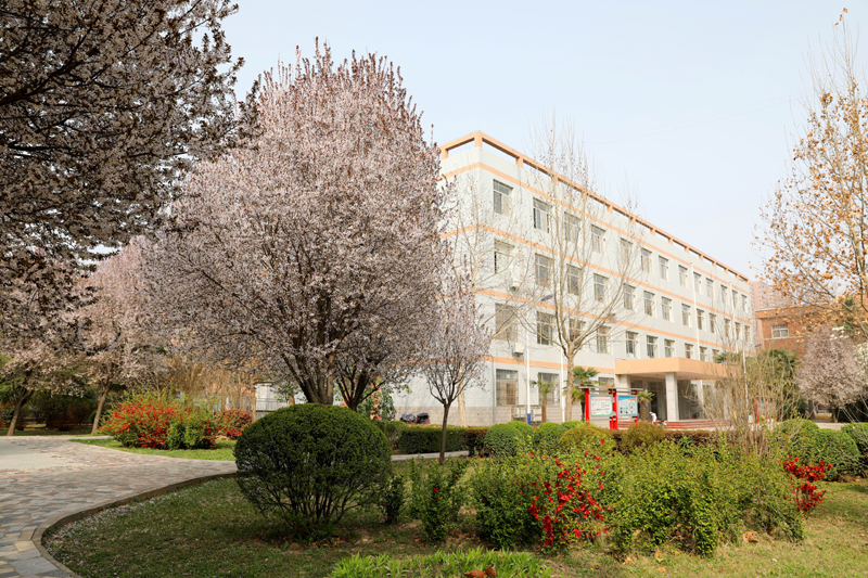 9N1A6373.JPG 9N1A6373.JPG