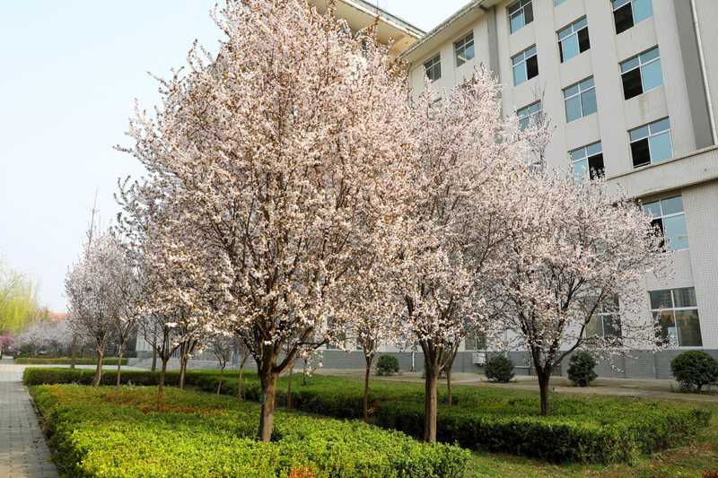 9N1A6428.JPG 9N1A6428.JPG