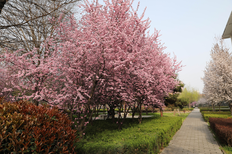 9N1A6431.JPG 9N1A6431.JPG