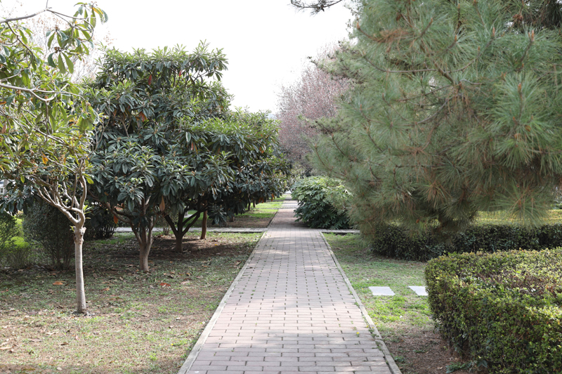 9N1A7211.JPG 9N1A7211.JPG