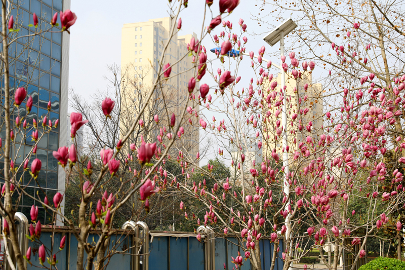 9N1A7254.JPG 9N1A7254.JPG