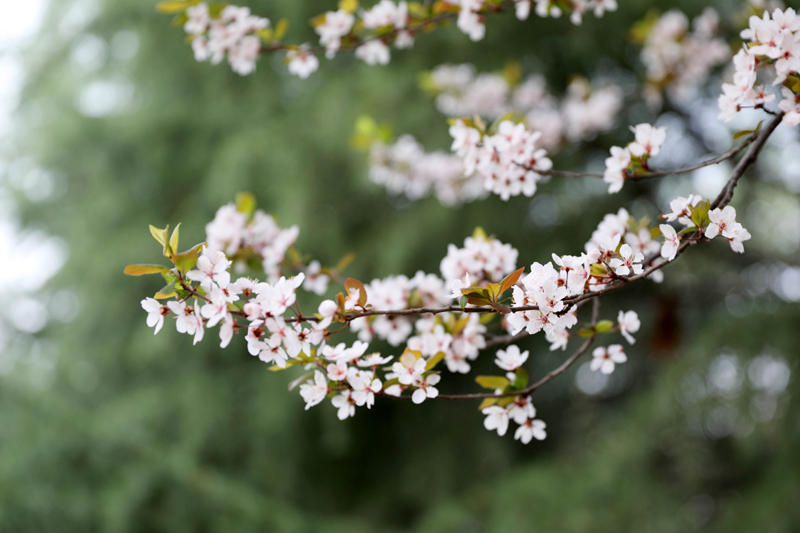 9N1A7478.JPG 9N1A7478.JPG