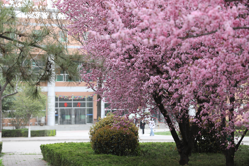 9N1A7511.JPG 9N1A7511.JPG