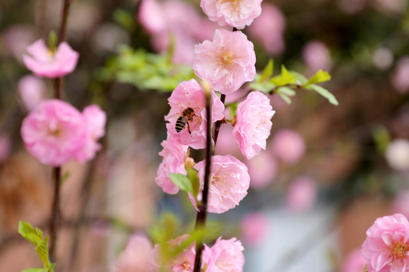 9N1A8093.JPG 9N1A8093.JPG