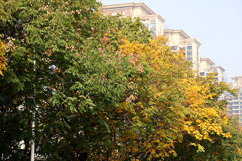 0K9A2708_副本.jpg 0K9A2708_副本.jpg