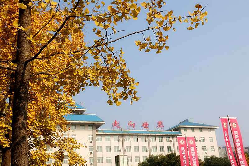 0K9A2640_副本.jpg 0K9A2640_副本.jpg