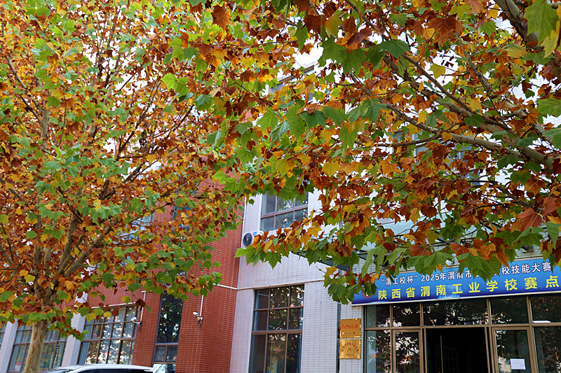 0K9A2744_副本.jpg 0K9A2744_副本.jpg