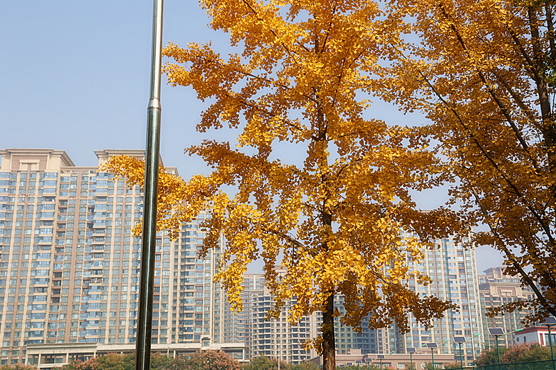 0K9A2679_副本.jpg 0K9A2679_副本.jpg